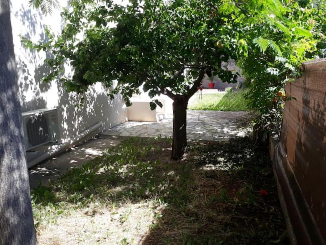 LE GALLI en plein cœur de Sanary Extérieur photo