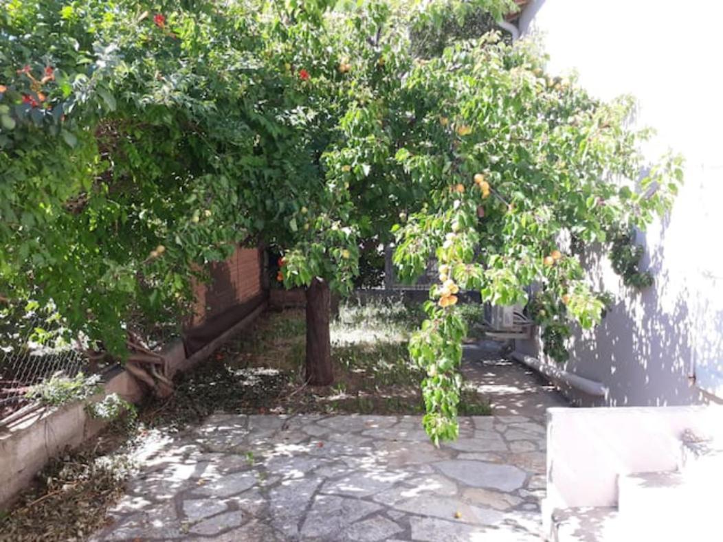 LE GALLI en plein cœur de Sanary Extérieur photo